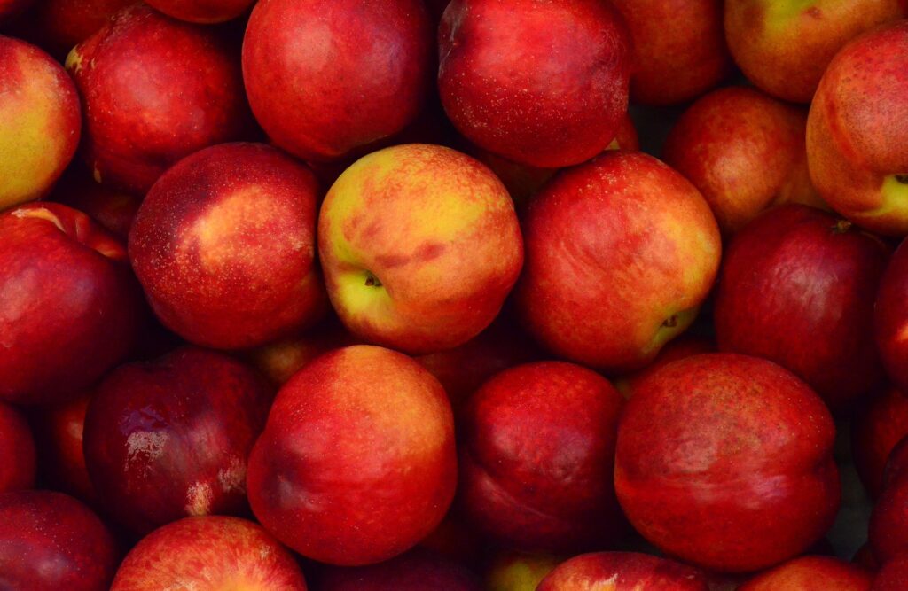 Jabłka są sezonowe praktycznie cały rok!